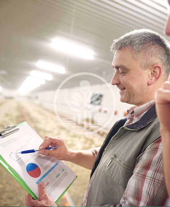 seleccion y aprobacion de proyectos ficrein fondo de inversion