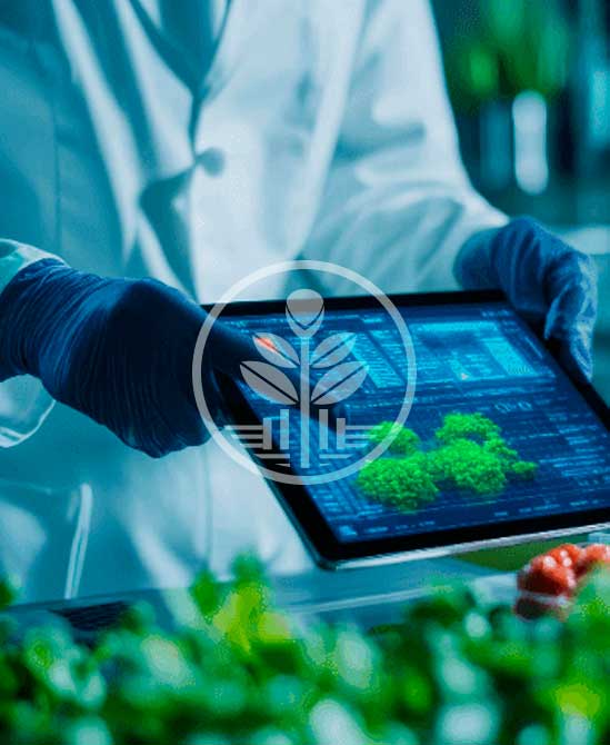 seleccion y aprobacion de proyectos ficrein fondo de inversion