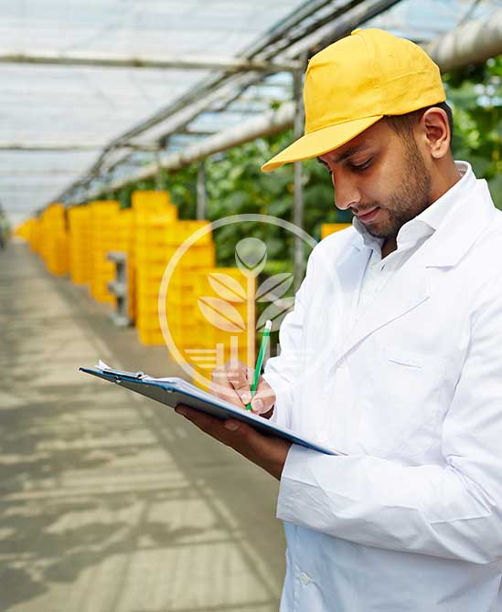 seleccion y aprobacion de proyectos ficrein fondo de inversion