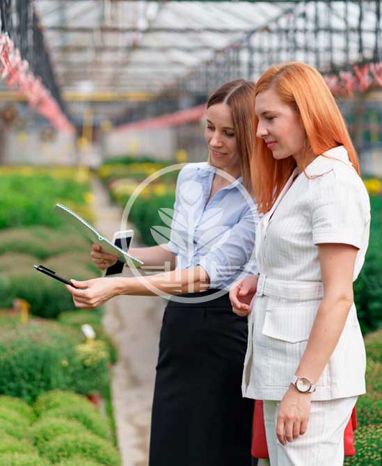 seleccion y aprobacion de proyectos ficrein fondo de inversion