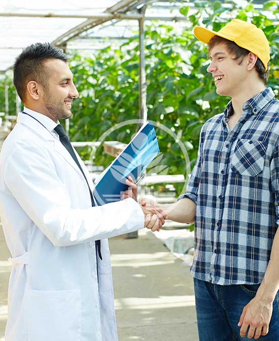 seleccion y aprobacion de proyectos ficrein fondo de inversion